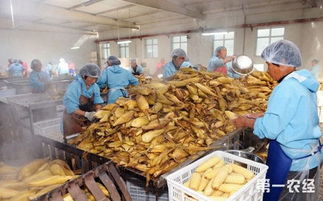 山西大同 农产品加工业销售破43亿元，产业结构优化升级