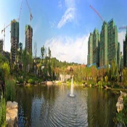 重庆市房地产开发项目详情查看指南